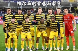 多米APP下载-帕尔马对乌迪内斯的比分预测